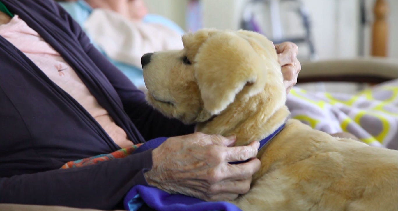 In Italia 1,2 milioni di persone con demenza, oltre la metà affette da Alzheimer